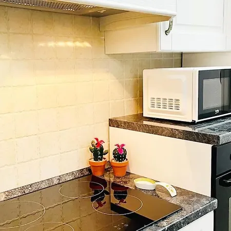Looney Tunes Apartamento *